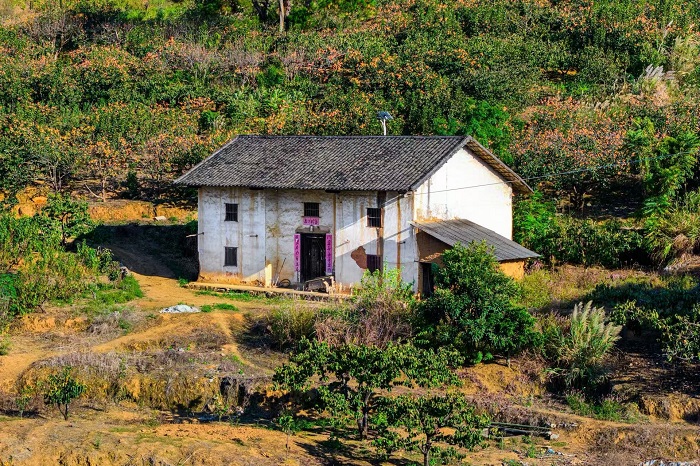 �����»�ˮ������