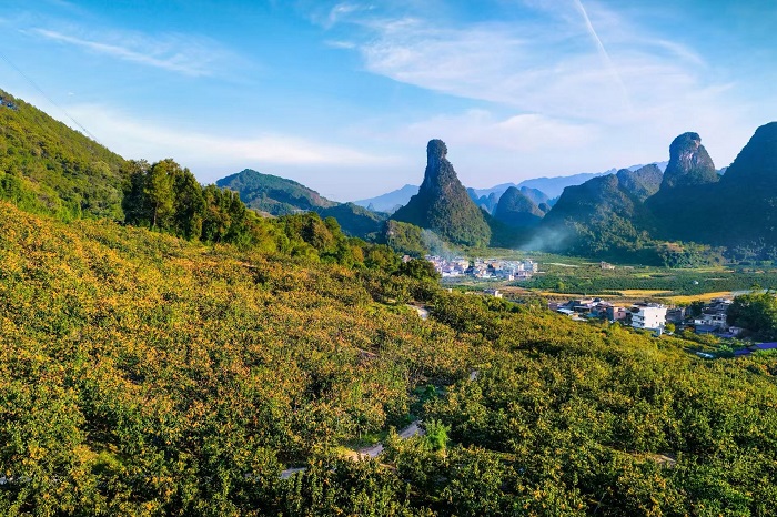 ƽ������ͤ����