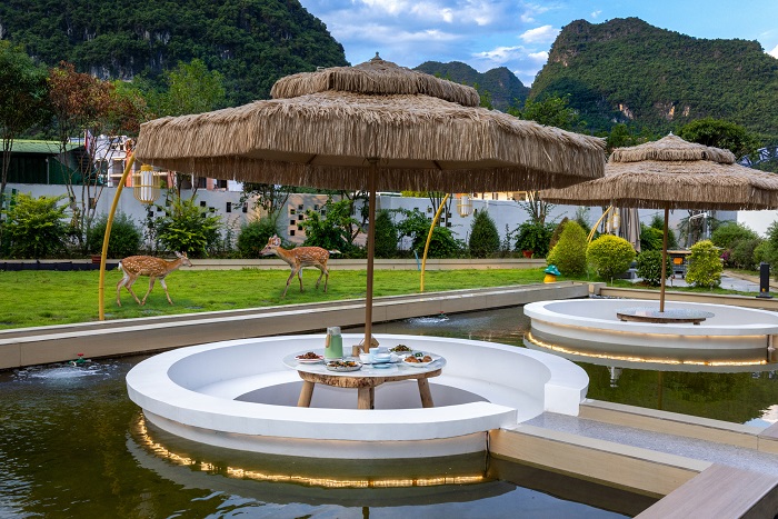 ��˷ɽѰѩ�۾��Ƶ�