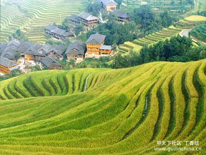 Longsheng rice terraces